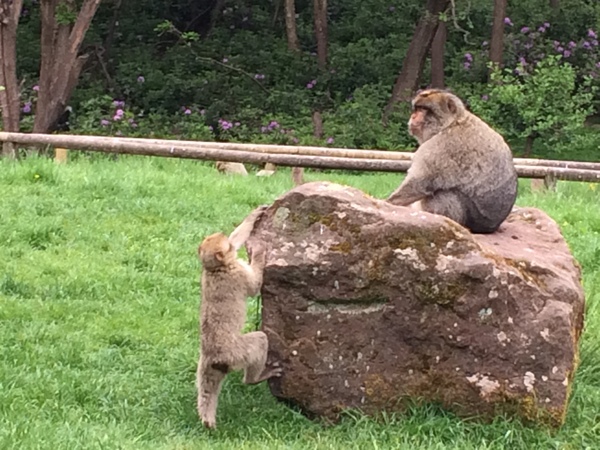 Swagger Inn 146 - The one made in a panic because there are only 4 posts left....