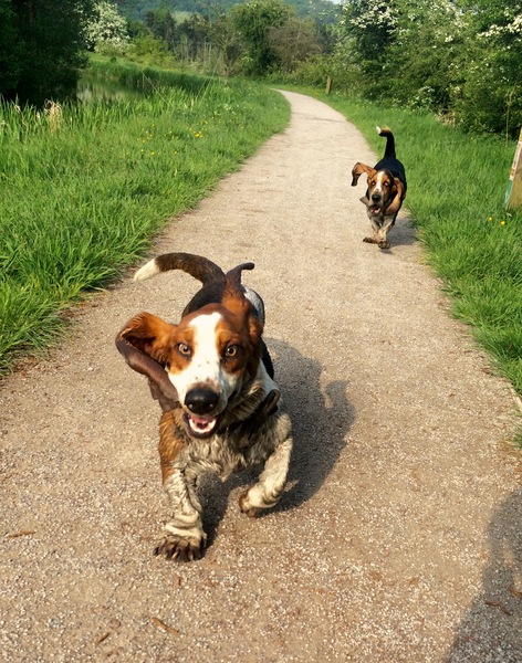 Week 2 - Pre-summer low carb bootcamp