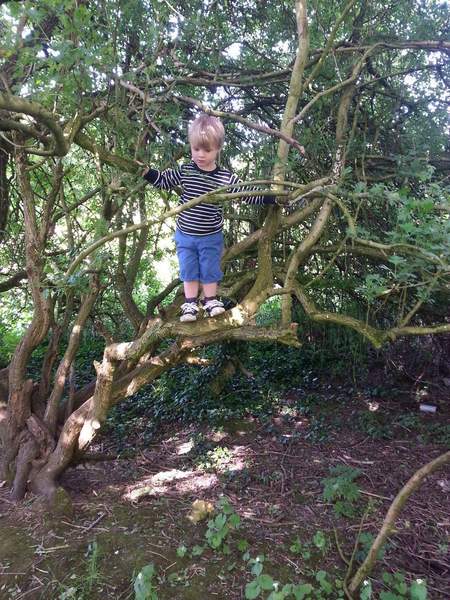 November 2014 - the one where they test boundaries.