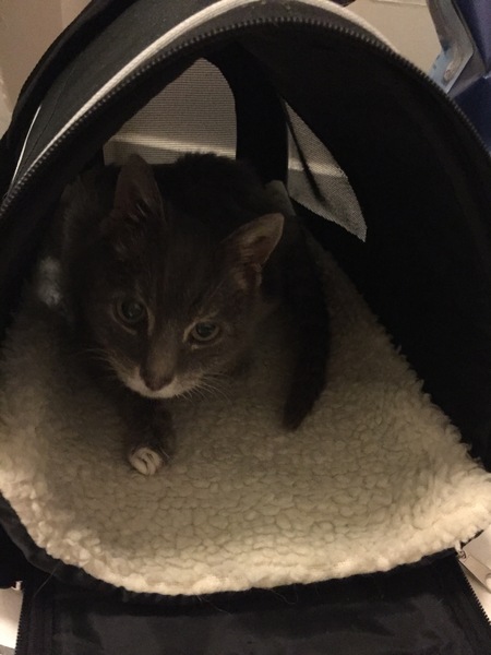 Life after losing our boy