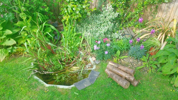 Find out how MNers are getting on with their Homebase Garden Goals challenge NOW CLOSED