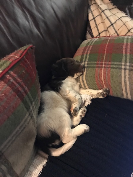 Dh has died and the MN lifesavers are helping us to keep our heads above water