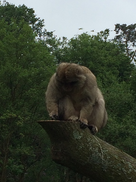 Swagger Inn 146 - The one made in a panic because there are only 4 posts left....