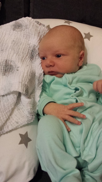 May 2017 #15 No sleep, night feeds and the newest arrivals