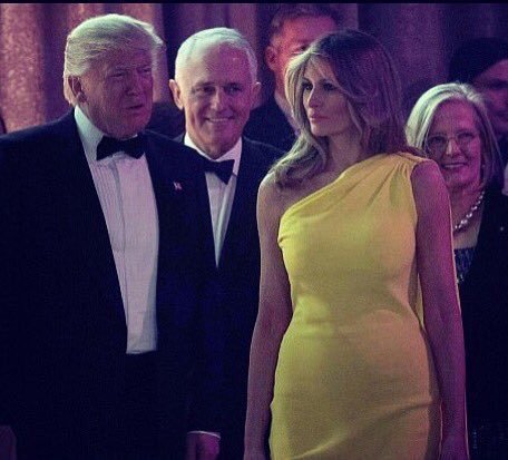 100 days in - congrats to us all for keeping sane on the Trump train