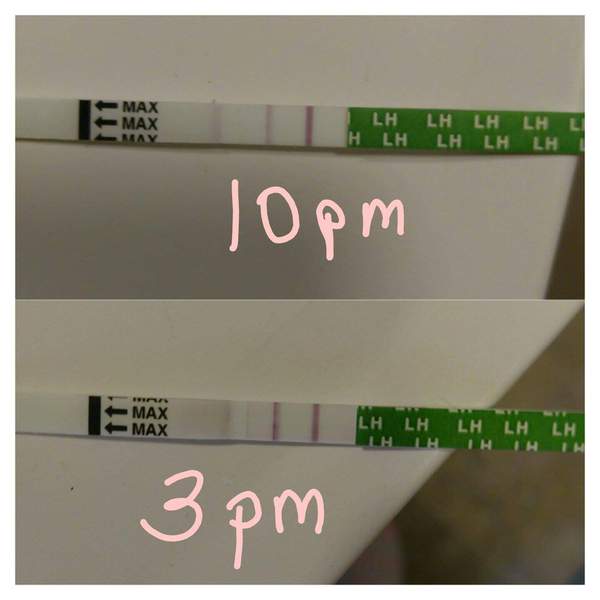 Ovulation OPK help