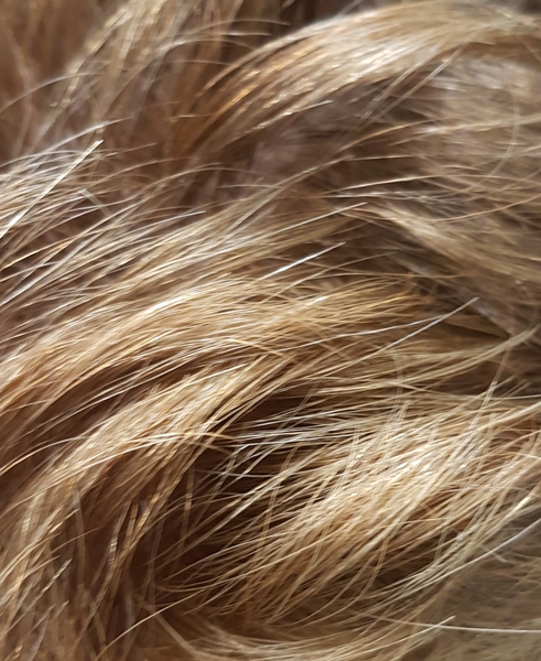 To be fucking sick of ginger hair comments?