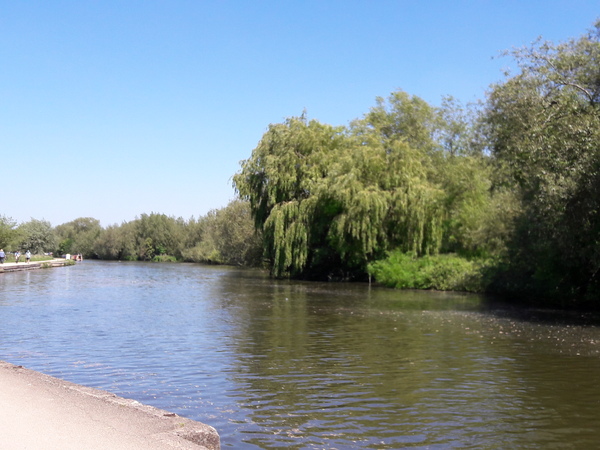 Swagger Inn 146 - The one made in a panic because there are only 4 posts left....