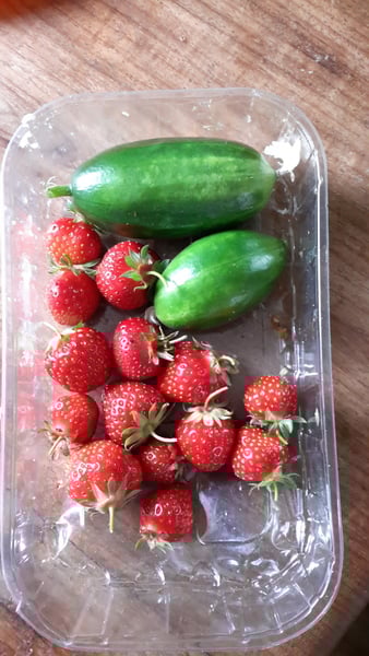 May we continue our furious frugaleering into June : )