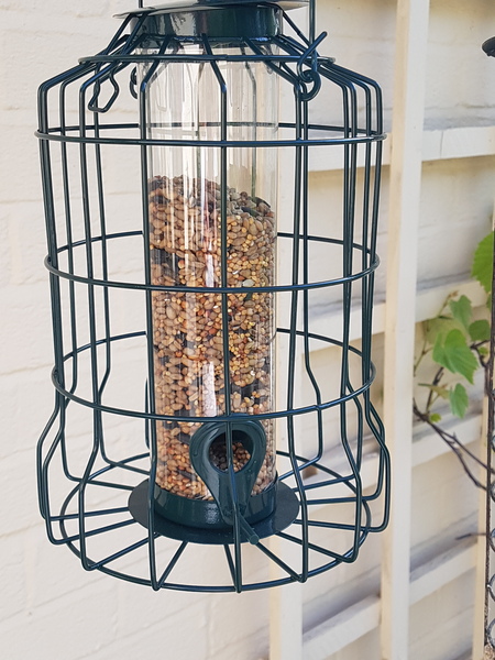 Find out how MNers are getting on with their Homebase Garden Goals challenge NOW CLOSED