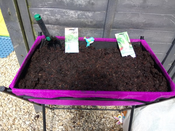 Find out how MNers are getting on with their Homebase Garden Goals challenge NOW CLOSED