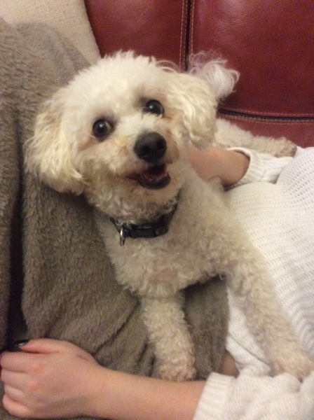 Is DP being U? (dog related)