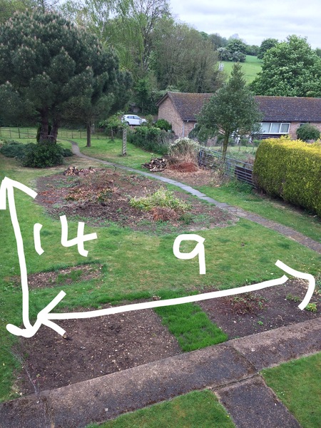 Allotment/Veg Patch Thread 9 - Spring is sprung, its getting really busy!