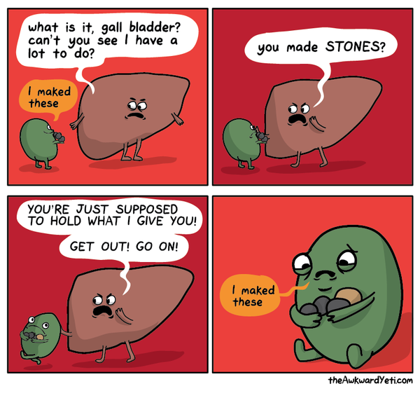 To ask about gallstones