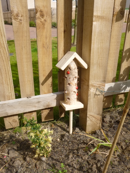 Allotment/Veg Patch Thread 9 - Spring is sprung, its getting really busy!