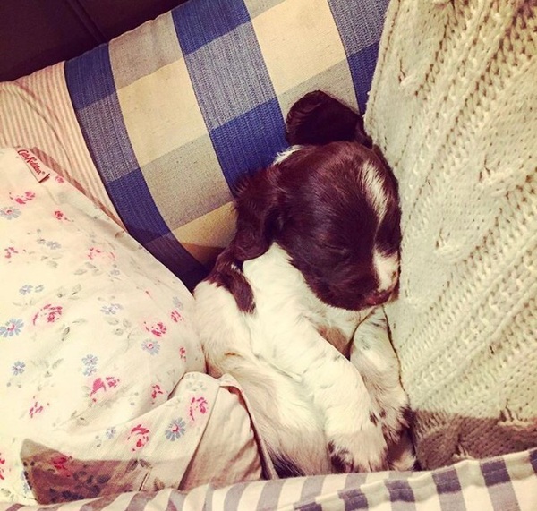 Dh has died - the MN Aunties are helping me keep on