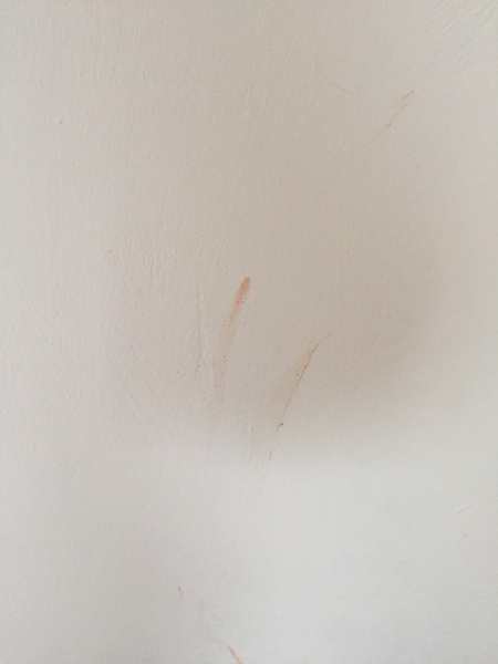 Read Mumsnetters’ feedback on Valspar Premium Blend v700 Walls & Ceilings Paint - £300 voucher to be won for feedback NOW CLOSED