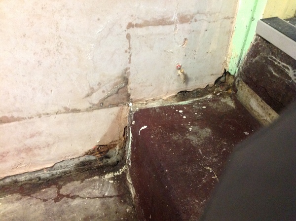 Anyone know about damp proofing?