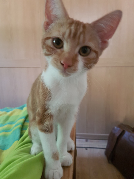 Or is my neighbour about my laundry...?