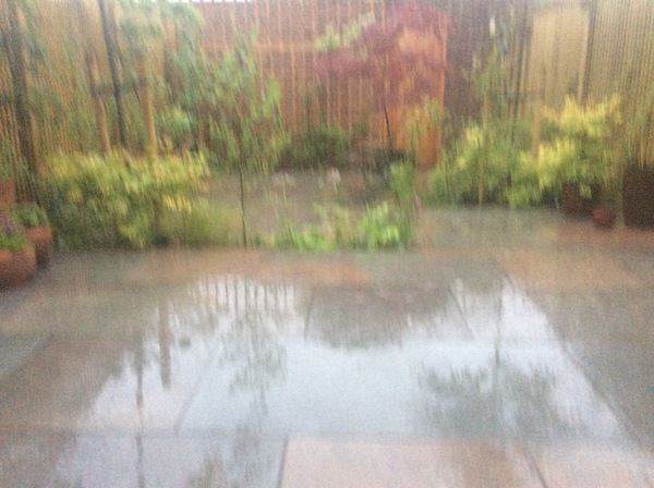 The Landscapers are here, it is better than the arrival of Santa