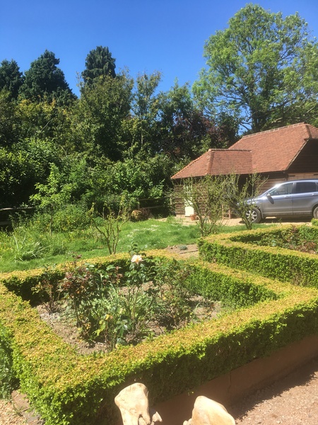 To ask the man next door to cut down his trees