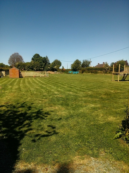 Allotment/Veg Patch Thread 9 - Spring is sprung, its getting really busy!