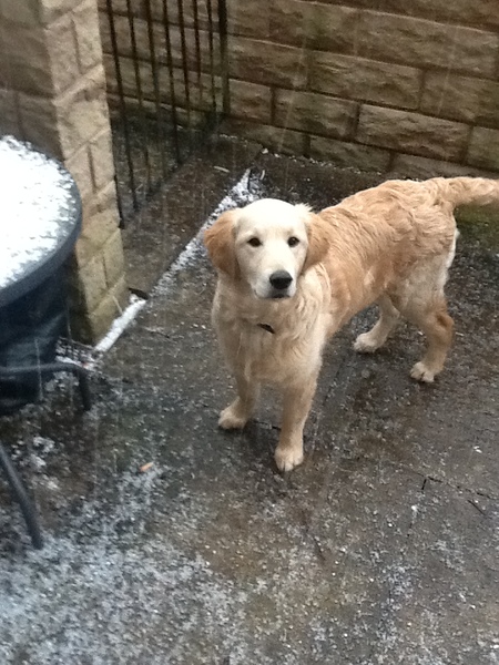 Neighbours reported us to the RSPCA