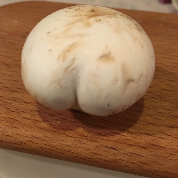 to want to share my double mushroom with you?