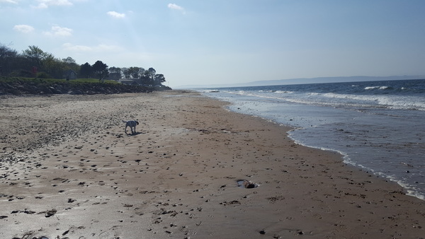 #makeithappen TTC through Donor IUI or Donor IVF or just undecided. All welcome. Thread 8