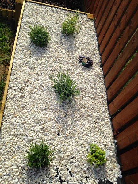 Find out how MNers are getting on with their Homebase Garden Goals challenge NOW CLOSED