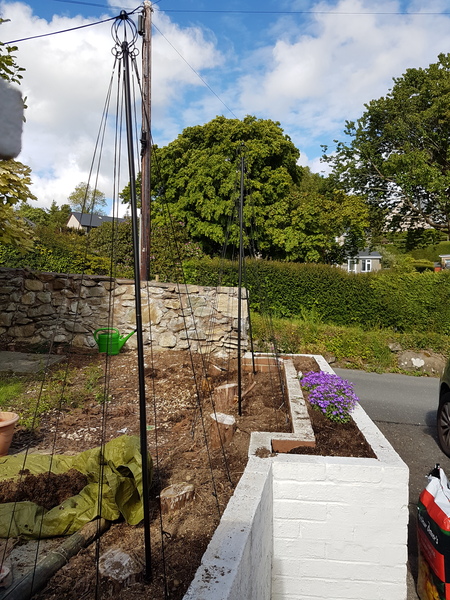 Find out how MNers are getting on with their Homebase Garden Goals challenge NOW CLOSED