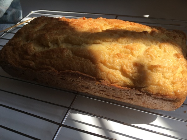 Week 1 - Pre-Summer Low Carb Bootcamp - Off we go!