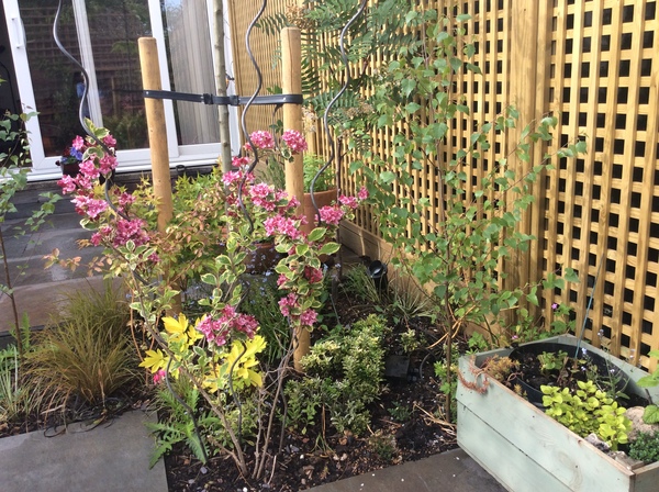 The Landscapers are here, it is better than the arrival of Santa