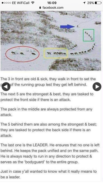 Is this true?