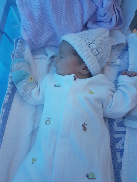 May 2017 #14 'A baby each day in the month of May?...'