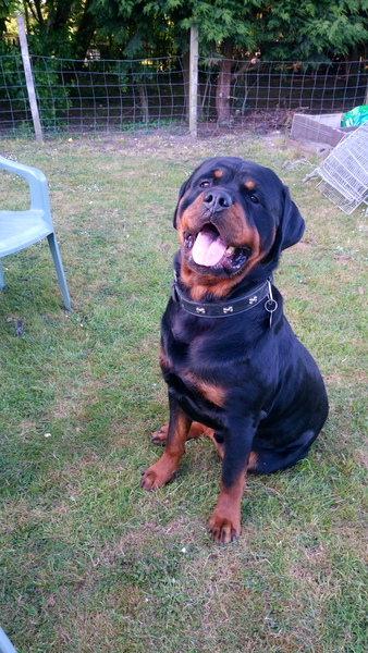 to think that nobody puts biscuits on a plate just for yourself?