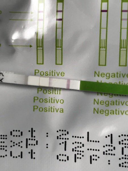 Is this OPK positive?