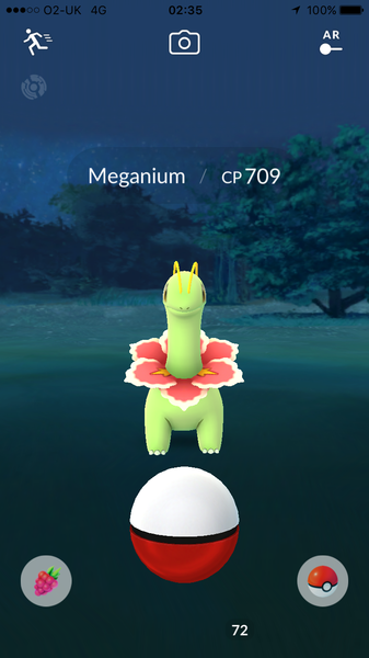 Pokémon Go #8: Don't mess with my Hoothoot