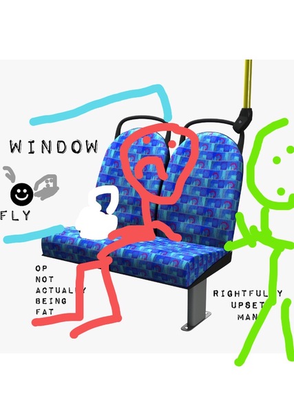 AIBU about the man on the bus?