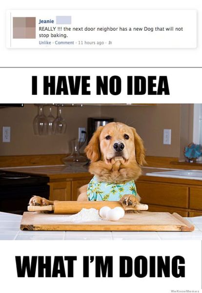 to be fed up of this aggressive baking