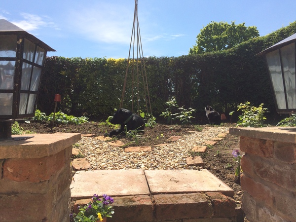 Allotment/Veg Patch Thread 9 - Spring is sprung, its getting really busy!