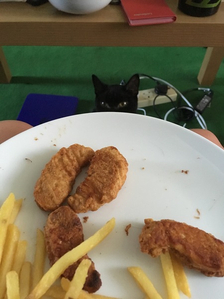 Cats still catting. What's your DCat up to today? Pt 3