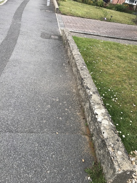 To let my DD walk on the wall?