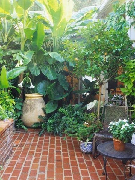 What would you do with this garden?