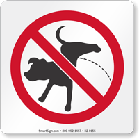 Anyone around? AIBU to be annoyed by this person and her dog in my garden??