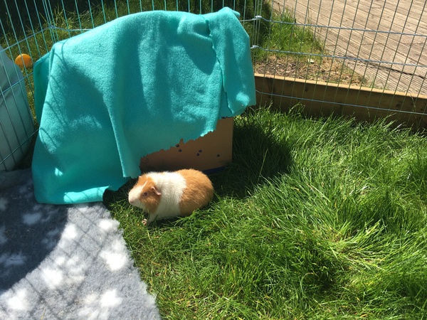 GPs first time outside