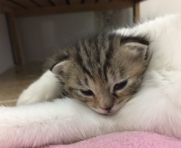 Name Help!