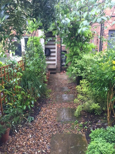Small Garden - advice please pictures included.