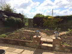 Allotment/Veg Patch Thread 9 - Spring is sprung, its getting really busy!