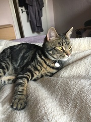 What's your DCat up to today? Pt 2